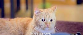 伊咪 圖8