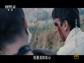 土耳其勇士 圖1