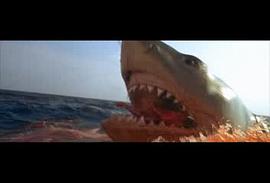 大白鲨在线观看完整版电影 图8