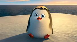 马达加斯加的企鹅快乐国王节 图8