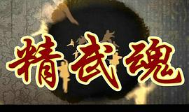 精武魂 圖9
