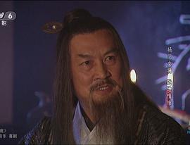 楊門女將之戰(zhàn)地情緣 圖2