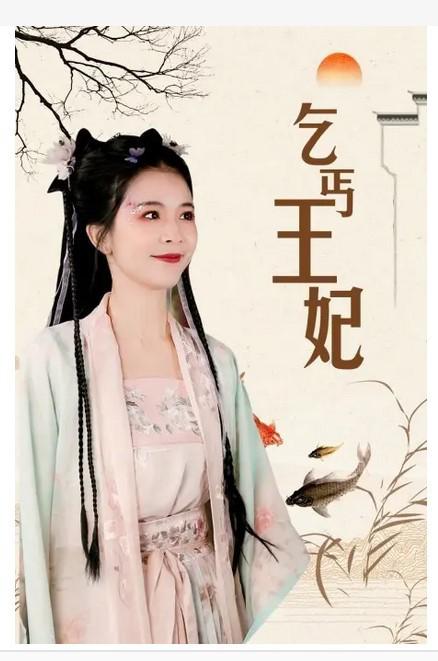乞丐王妃
