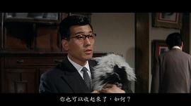 野獸的青春 圖4