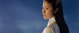 甄子丹江山美人 圖9