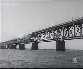 女司機(jī) 圖4