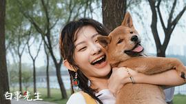 白事先生 圖5