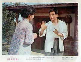 花開(kāi)花落 圖7
