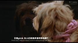 妙探機(jī)靈狗 圖1