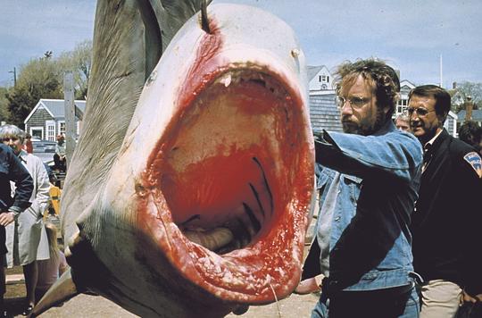 大白鲨1完整版电影