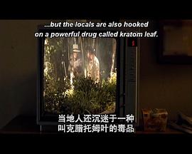 葛優(yōu)最經(jīng)典的電影 圖6