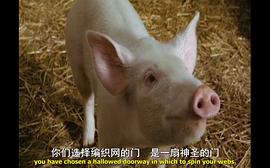 夏洛特的網(wǎng) 圖3