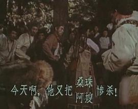 紅鷹 圖4