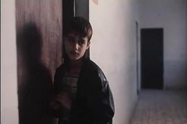 柳樹之歌 圖6