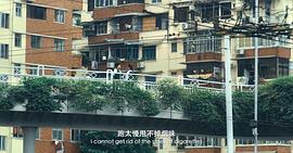 小偉 圖5