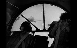 飞行堡垒电影二战影片 图6