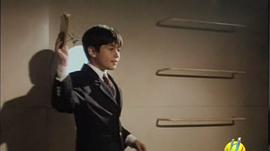 有一部講海豚的電影 圖5