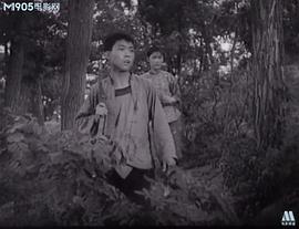 紅河激浪 圖7