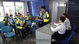 铁骑战马电视剧免费观看 图9