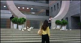 派克式左輪 圖3