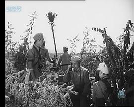 和平保衛(wèi)者 圖8