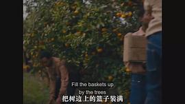 五分钱男孩 图9