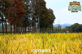 种地吧3 图6