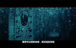 變態(tài)者意識形態(tài)指南 圖5