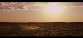 穿越沙漠无人区的电影 图7