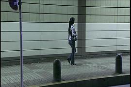 職業(yè)女特工 圖1
