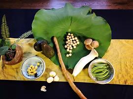 國外素食紀(jì)錄片 圖6
