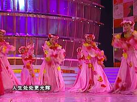 2013春节联欢晚会重播 图9