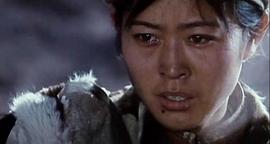 祁連山的回聲 圖3