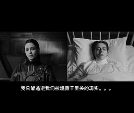 體外 圖3