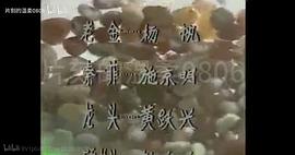 紅紅的雨花石 圖2