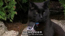 地平線系列：小貓日記 圖9