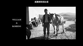 野馬 圖9
