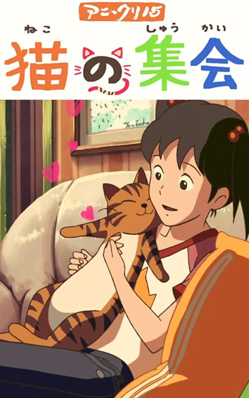 貓的集會