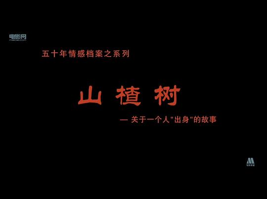 遠(yuǎn)方的山楂樹視頻在線觀看