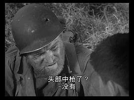 鋼盔 圖4