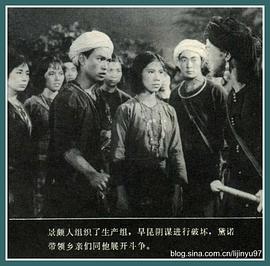 景頗姑娘 圖9