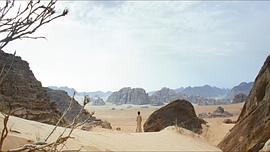 沙漠枭雄电影 图9