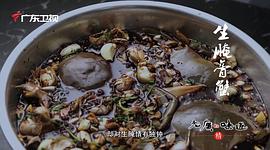 广东卫视美食纪录片 图10