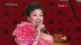 2010年中央电视台春节联欢晚会 图6