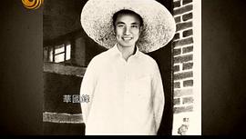 1973：中国往事 图6