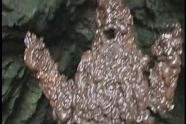 屎怪 圖5