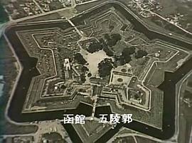 花神 圖8