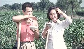 80年代中国农村电影 图8