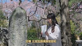 我家的故事 圖4