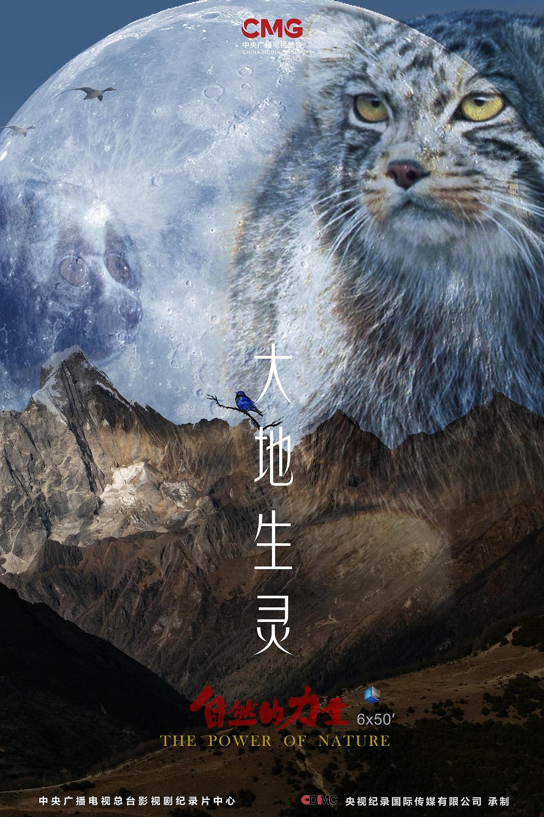 自然的力量·大地生靈